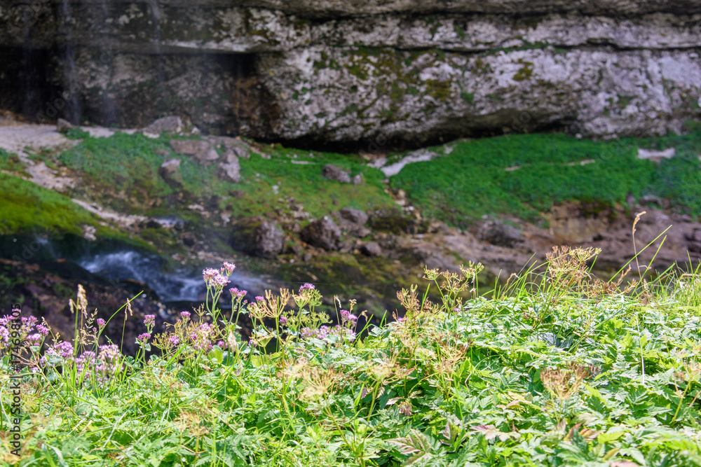 Dreamy waterfall and small emerald pond. Karst water. Fontanon of Goriuda. Friuli Dreamy waterfall and small emerald pond. Karst water. Fontanon of Goriuda. Friuli