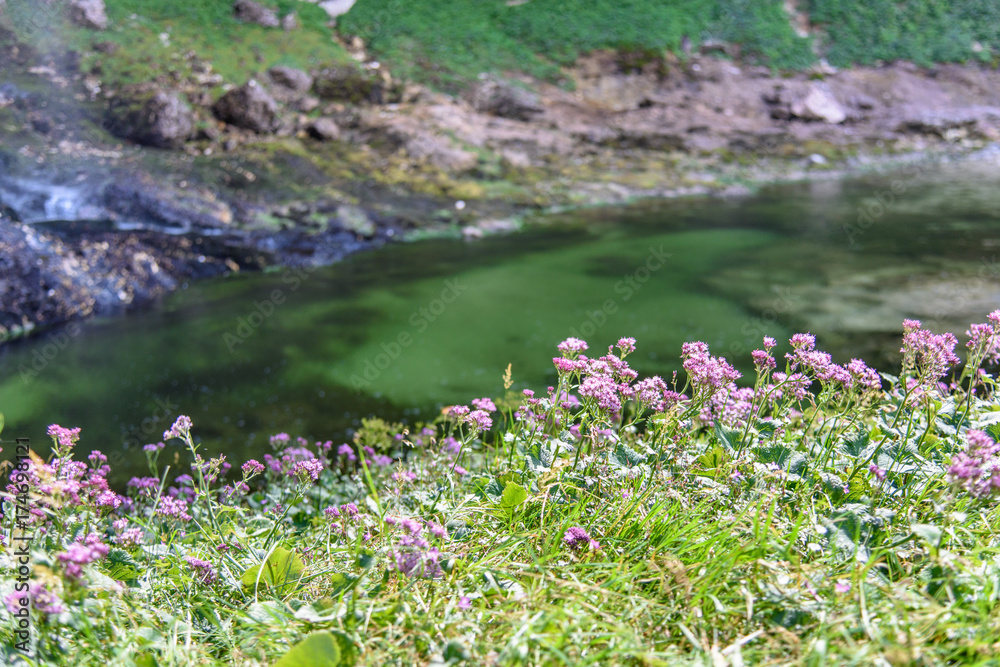 Obraz premium Dreamy waterfall and small emerald pond. Karst water. Fontanon of Goriuda. Friuli
