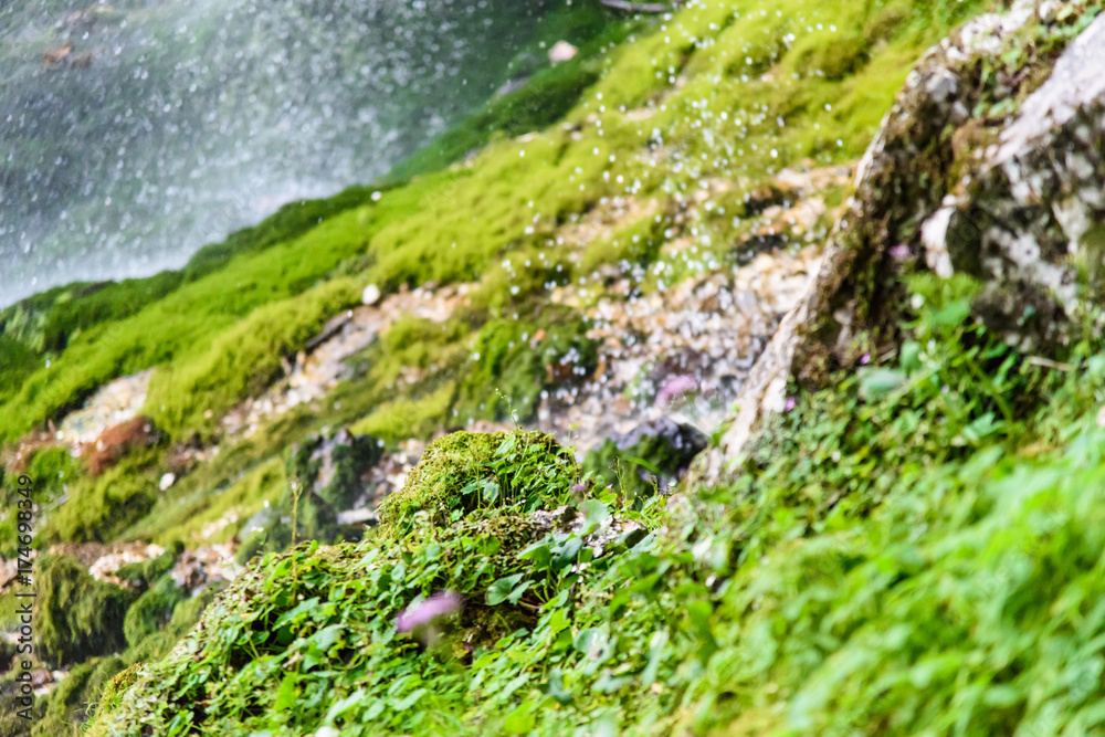 Dreamy waterfall and small emerald pond. Karst water. Fontanon of Goriuda. Friuli Dreamy waterfall and small emerald pond. Karst water. Fontanon of Goriuda. Friuli