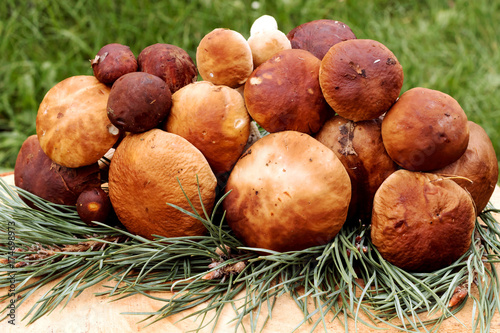 Boletus mushrooms on wooden table. Autumn still life.