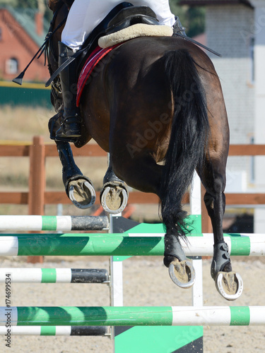  Brown sport horse jumping through hurdle. Horse show jumping in details.