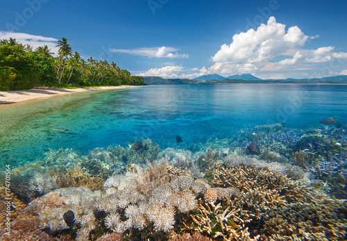 Scenic tropical beach with beautiful underwater world on background of mountains © soft_light