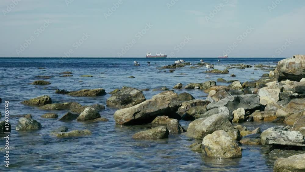 Calm sea stony shore on the rocks of seagulls and ships at sea in the roadstead Calm sea stony shore on the rocks of seagulls and ships at sea in the roadstead