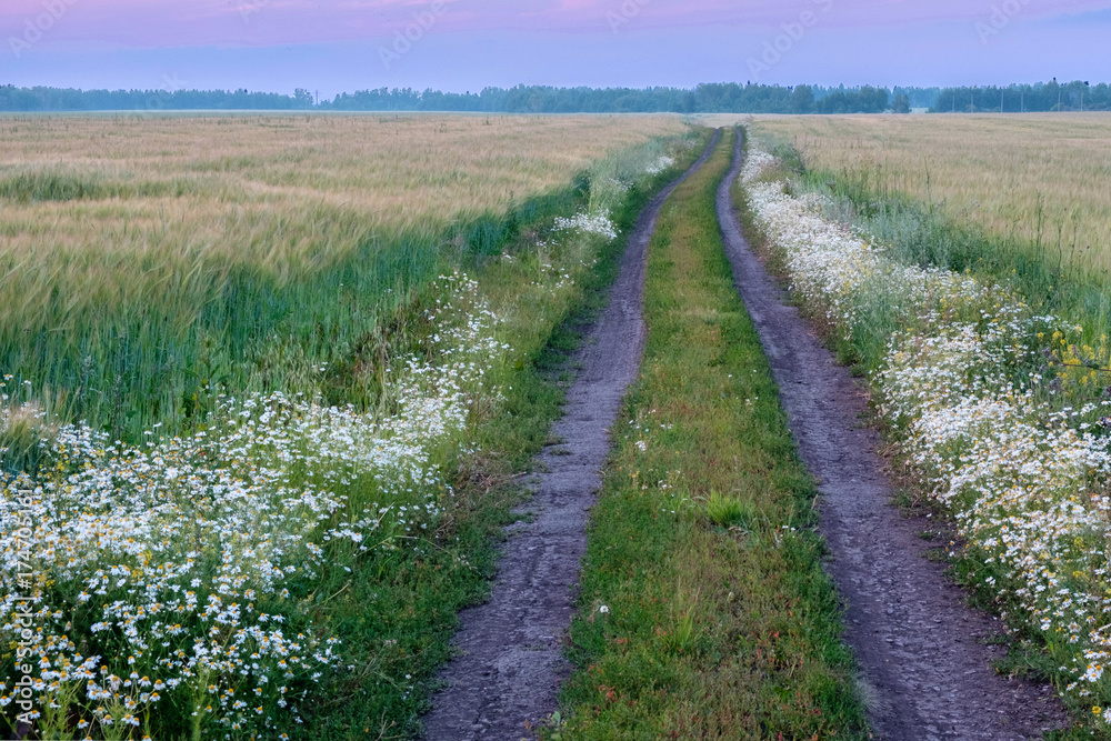 summer field road off into the sunset summer field road off into the sunset