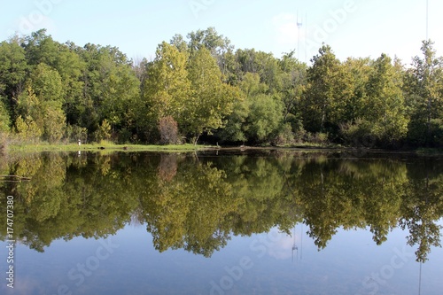 The reflection of the trees on the lake water.
