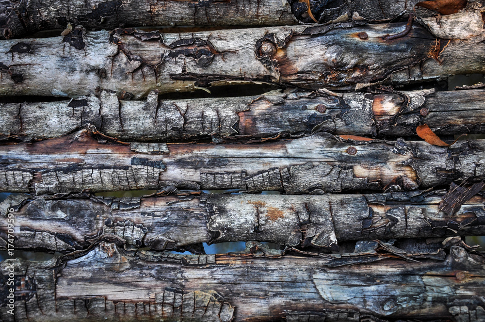 wood background wood background
