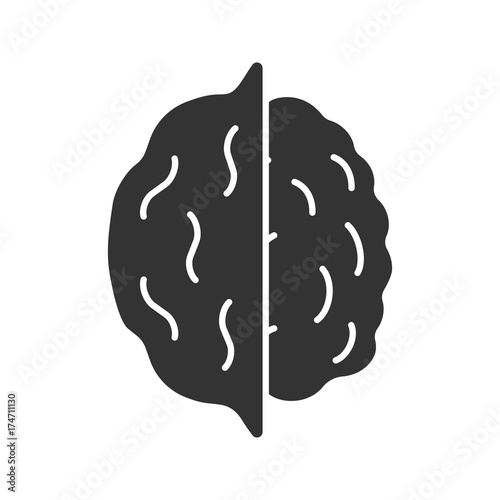 Opened walnut glyph icon
