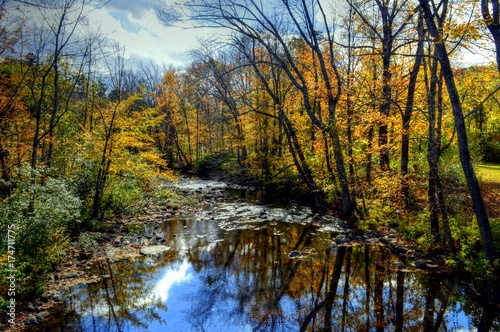 Fototapeta Naklejka Na Ścianę i Meble -  New England Foliage