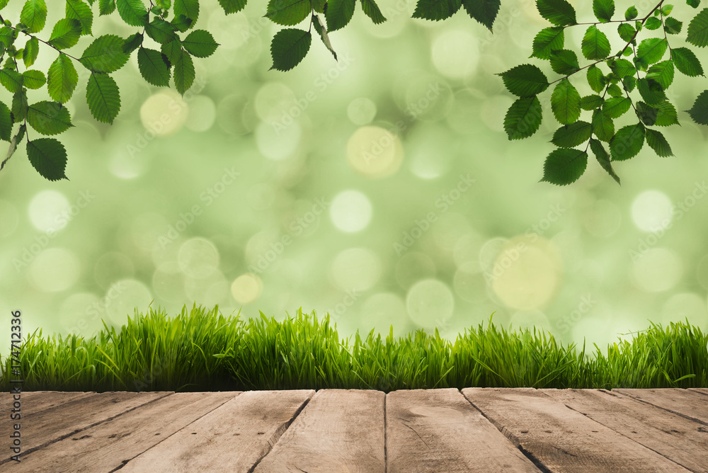 Obraz premium green leaves, sward and wooden planks