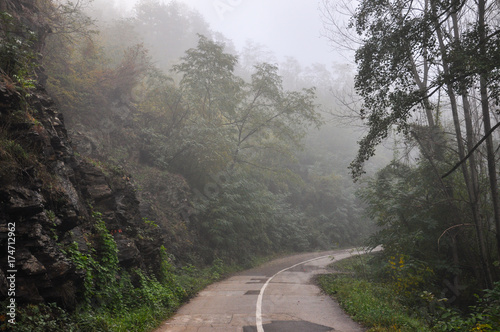 Foggy morning on road in canon. Old rustic road in autumn morning