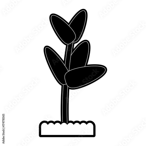 plant in pot icon image vector illustration design  black and white © Jemastock