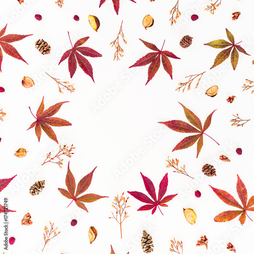 Round frame of autumn fall leaves and dried wild flowers on white background. Flat lay, top view. Autumn concept