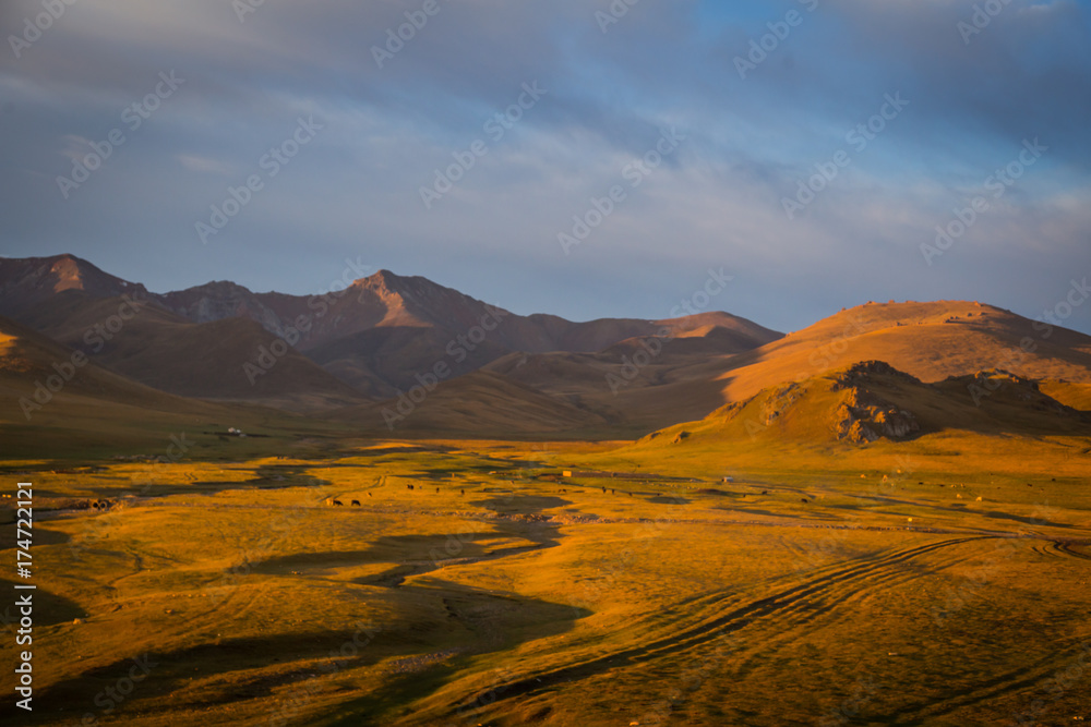 Naklejka premium Grazing animals in the Tian Shan mountains of Kyrgyzstan