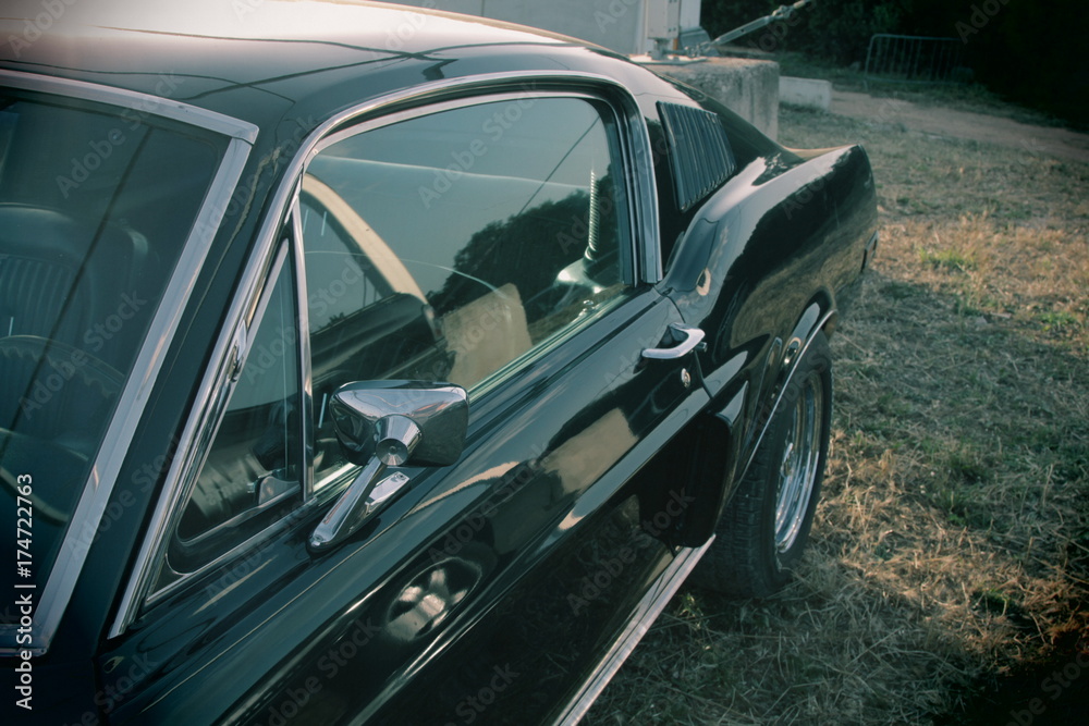 mustang