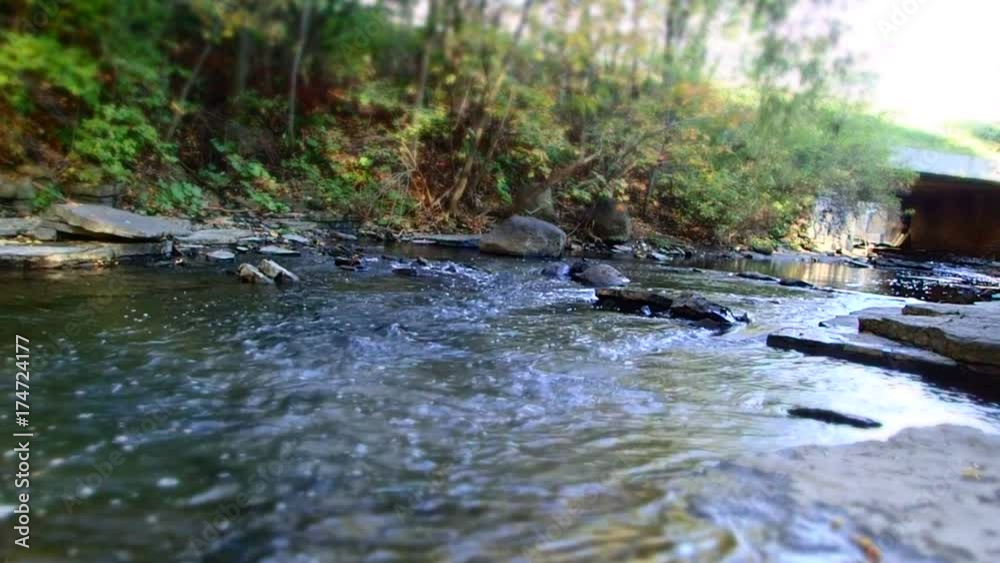 rivière en automne