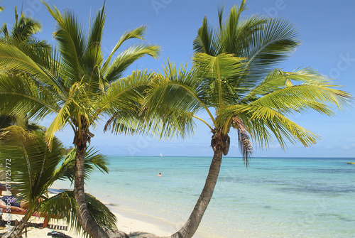 Fiji Island  Beach