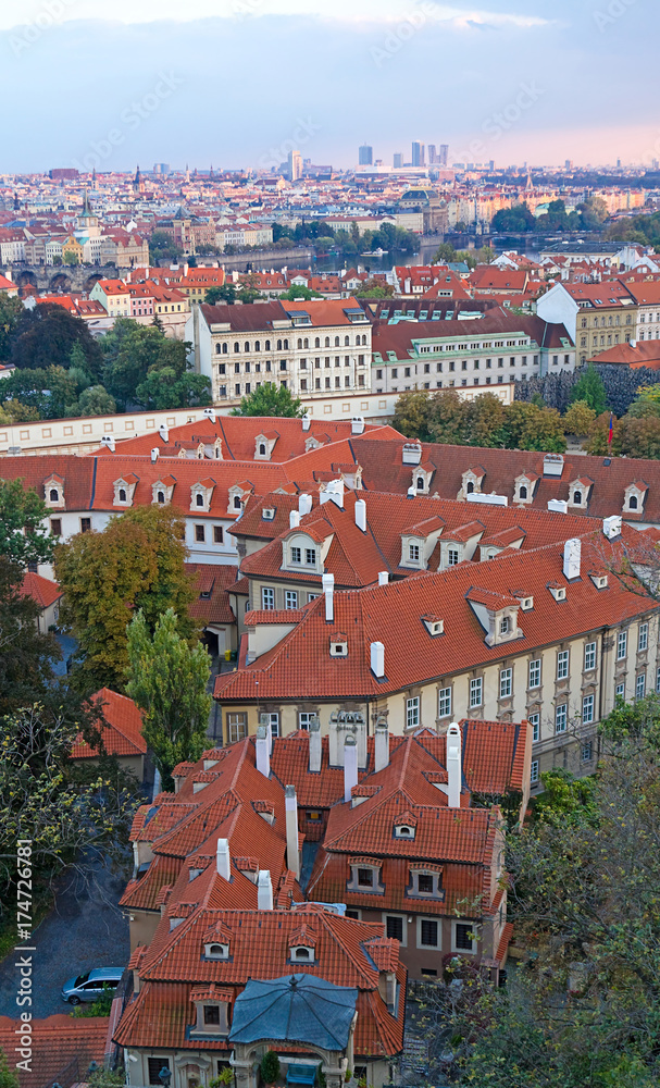 Naklejka premium Prager Stadtpanorama