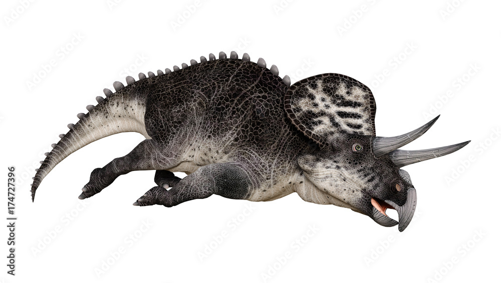 3D Rendering Dinosaur Zuniceratops on White 3D Rendering Dinosaur Zuniceratops on White