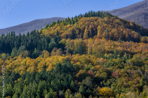 The Tuscan-Emilian Apennines painted with the typical autumn colors on a sunny day in the area of Cutigliano, Abetone, Pistoia, Italy
