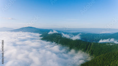 Amazing Fog Landscape