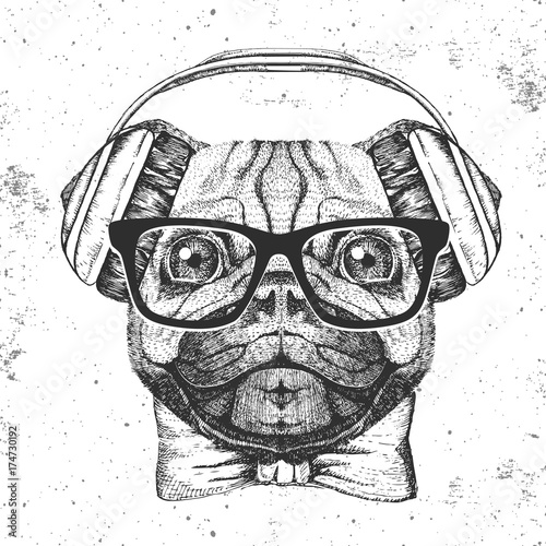 Retro Hipster animal pug-dog. Hand drawing Muzzle of pug-dog