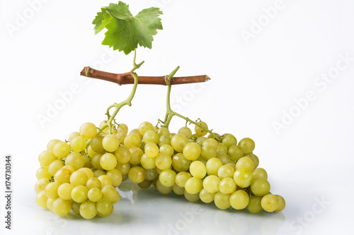 White grapes isoltated on white background photo