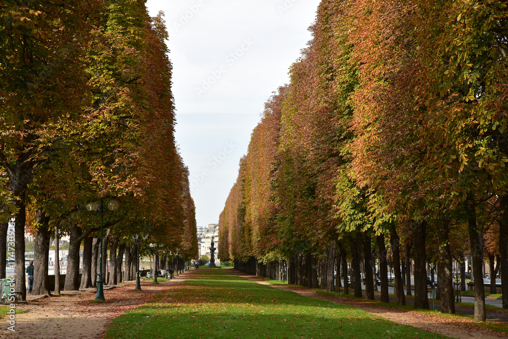Allée boisée en automne au jardin d'Erevan à Paris, France