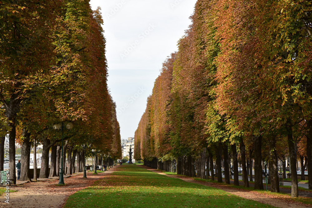 Allée boisée en automne au jardin d'Erevan à Paris, France Allée boisée en automne au jardin d'Erevan à Paris, France