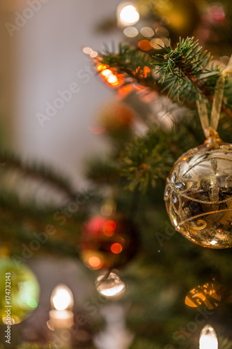 Christmas baubles on the spruce tree