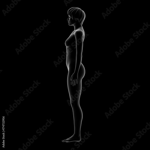 Woman Body, Side © ikonacolor
