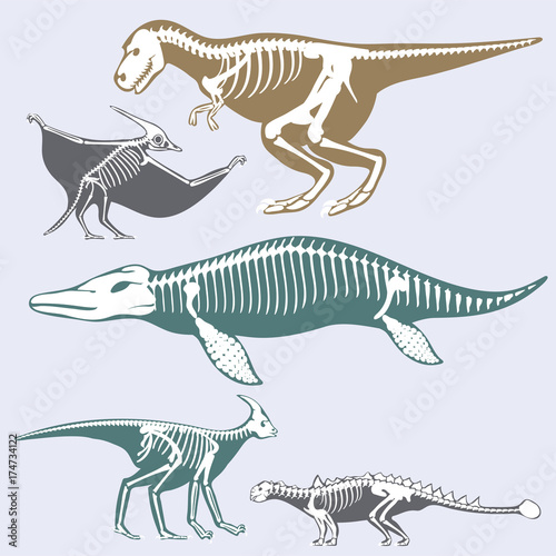 Dinosaurs skeletons silhouettes set fossil bone tyrannosaurus prehistoric animal dino bone vector flat illustration.