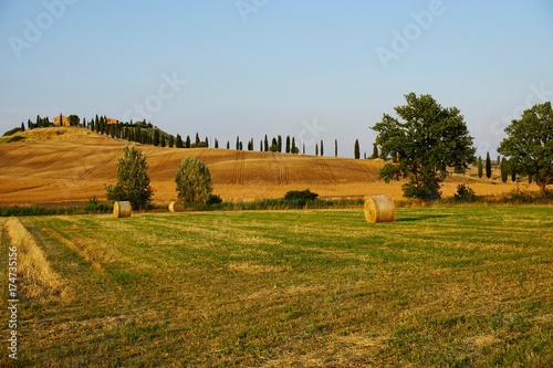 Crete Senesi