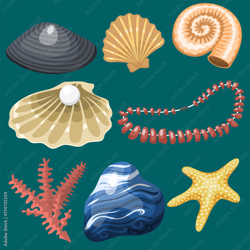 Sea marine animals and shells souvenirs cartoon vector illustration spiral  tropical mollusk mussel decoration Stock Vector | Adobe Stock