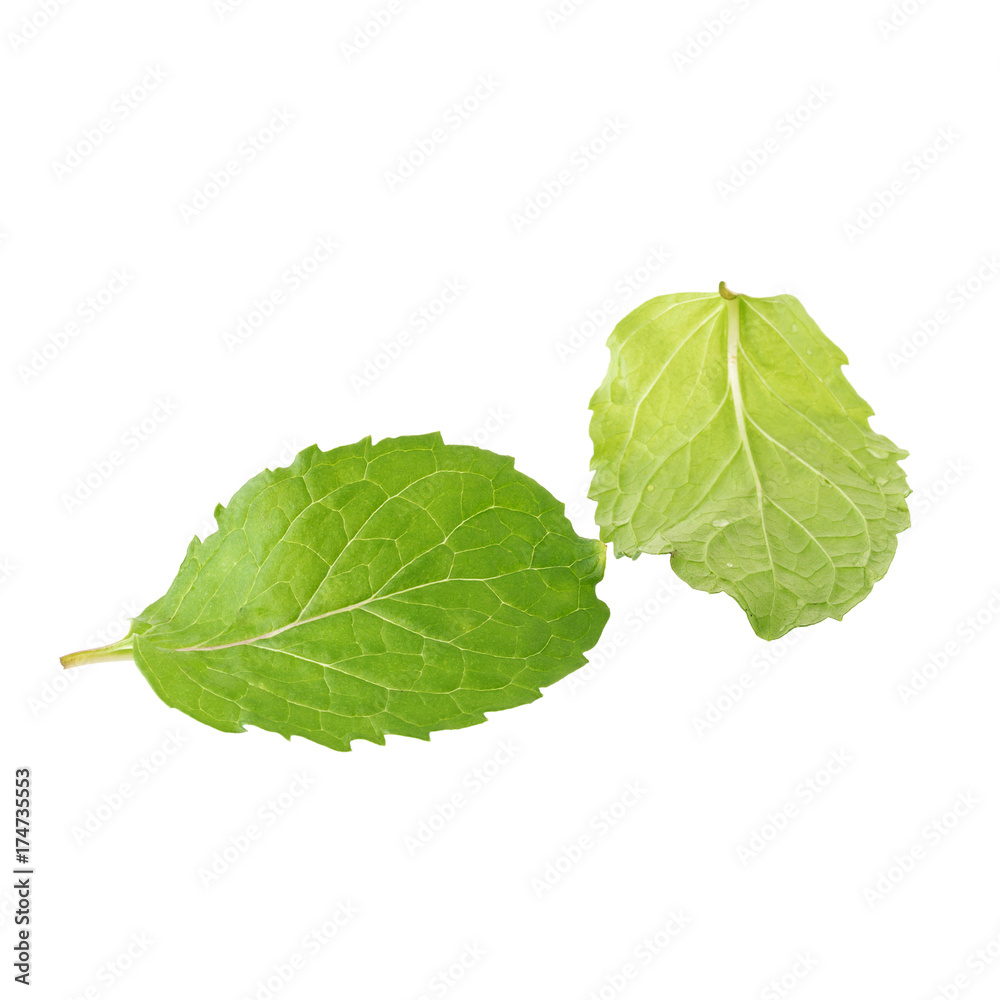 Fototapeta premium Fresh raw mint leaves isolated on white background