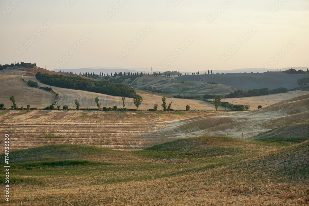 Fototapeta premium Crete Senesi