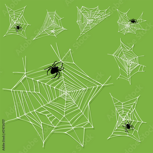 Spider web silhouette arachnid fear graphic flat scary animal design nature insect danger horror halloween vector icon.