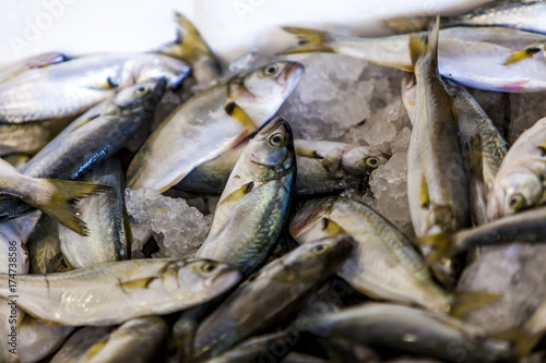 Fresh seafood