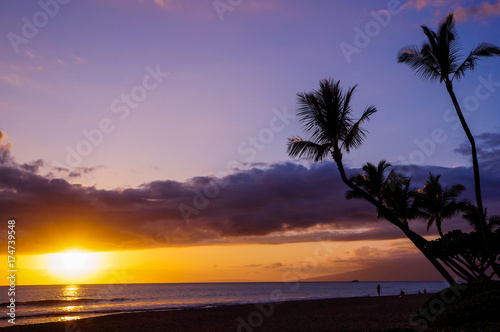 Fototapeta Naklejka Na Ścianę i Meble -  Hawaiian Sunset with Palm Trees