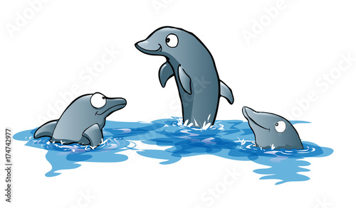 dolphins