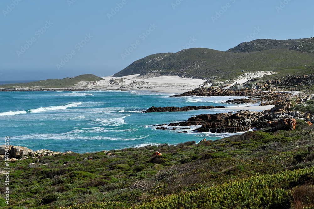 Impressions of the coast on the Cape of Good Hope, South Africa