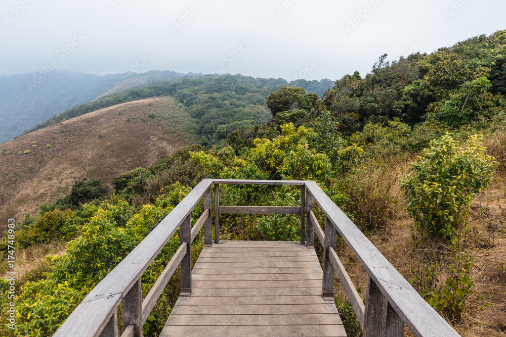 Mountains with golden grass and fog with the wooden observation deck along the way to Kew Mae Pan in Chiang Mai, Thailand.