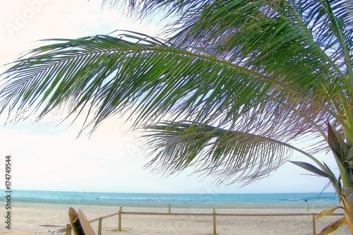 Photos empty morning  beach / photography with scene morning empty seagoing coast