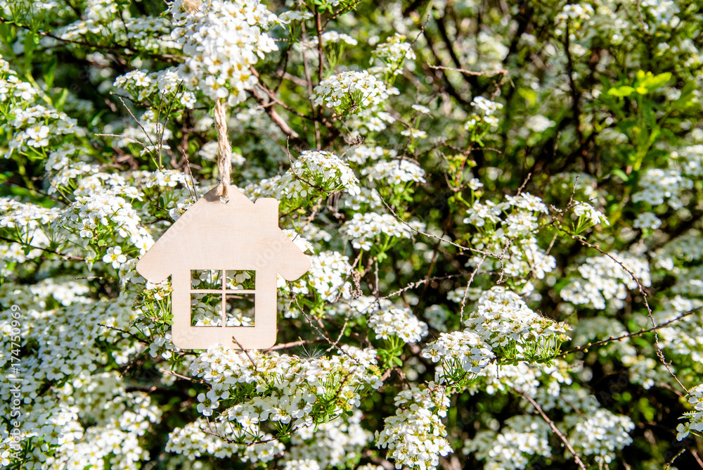     The symbol of the house hangs among the flowering branches of Spirea 