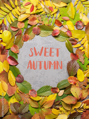 Autumn leaves on a gray background, vertical, space for text, autumn, leaves