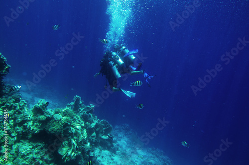 A group of diving camps near a coral reef