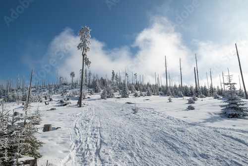 Snowy mountain in the Bavarian Forest