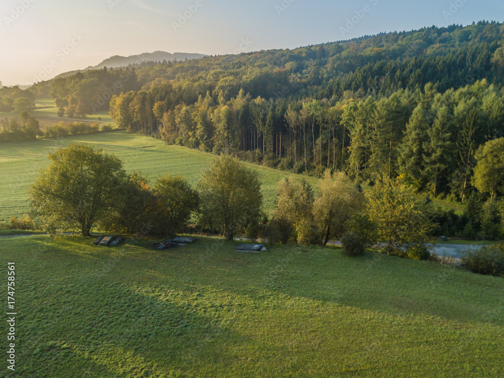 Aerial view of forest in morning light during sunrise