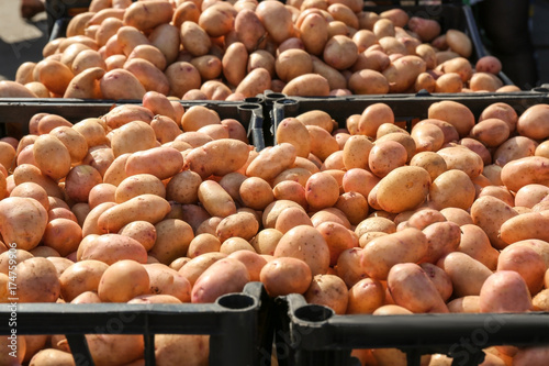 Φωτογραφία Many potatoes in plastic crates at market