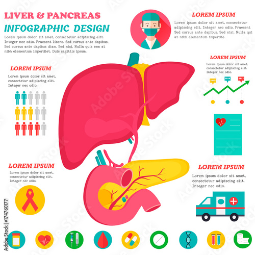 Infographic poster with pancreas illustration.