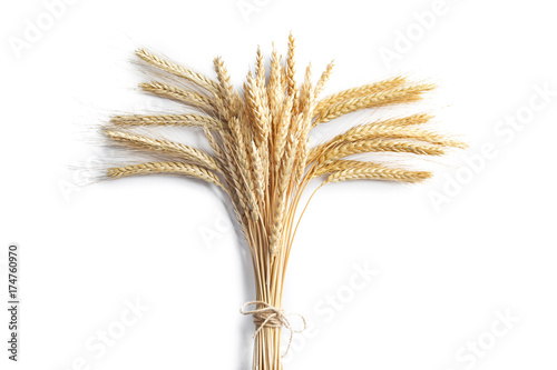 Ripe wheat on white background